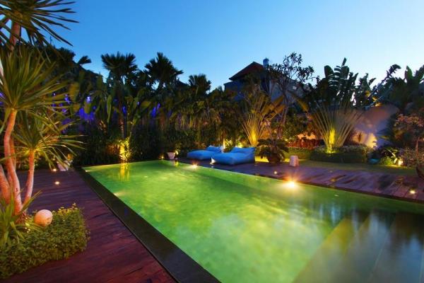 Pool And Garden At Night