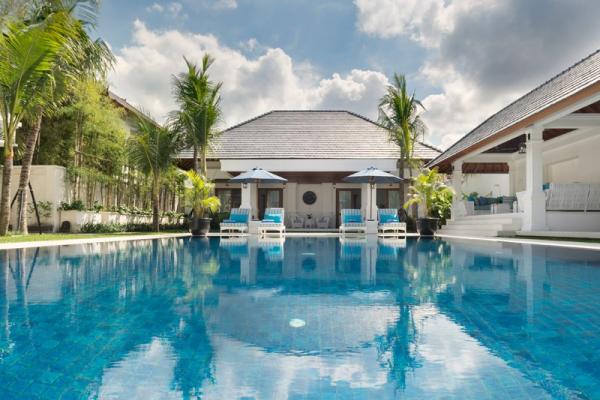 Palm Tree Around The Pool