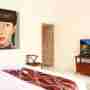 TV Facilities In The Room And A Painting Of A Girl On The Wall Of The Room