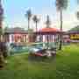 Garden And Pool